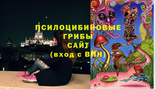 трава Абаза