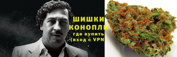 дурь Осташков