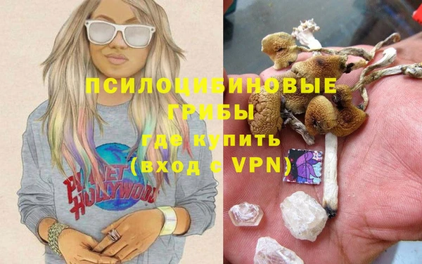 дурь Осташков
