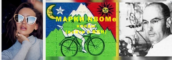 индика Абинск